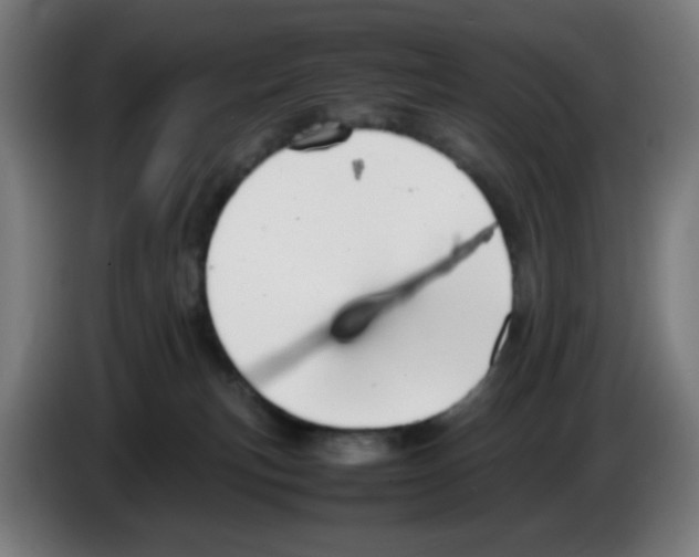 X0000086230183200704261903