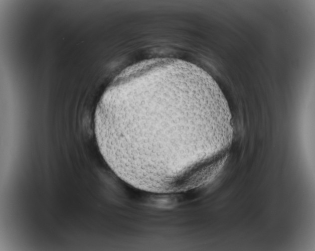 X0000086230187200704261903