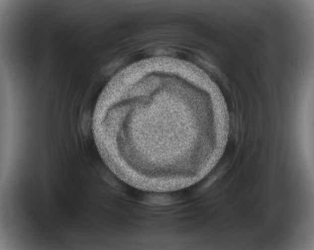 X0000086230189200704261903