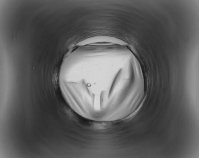 X0000086230190200704261903