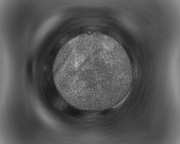 X0000086230191200704261903