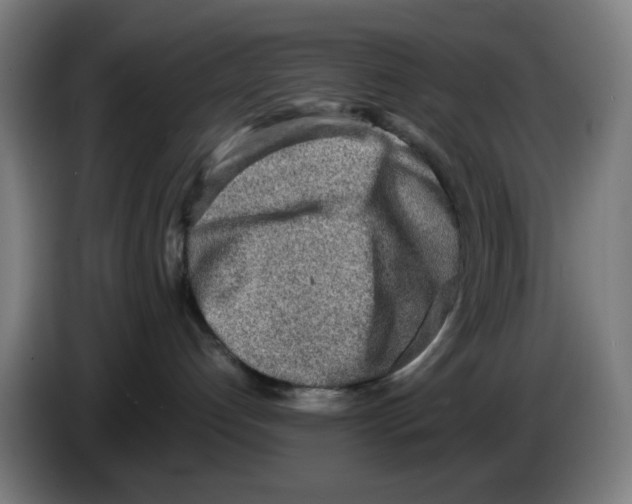 X0000086230192200704261903