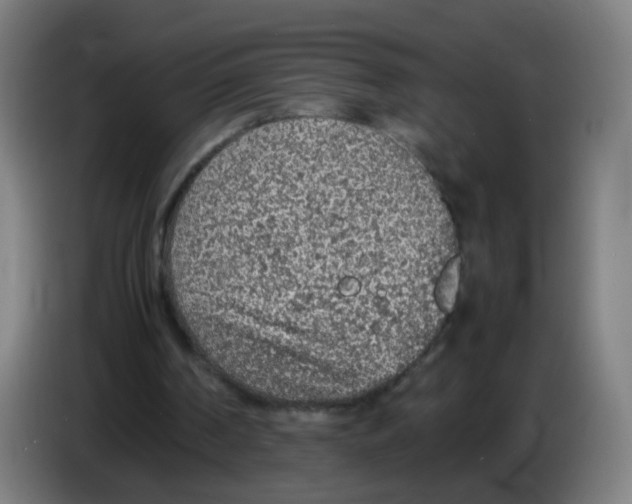 X0000086230194200704261903