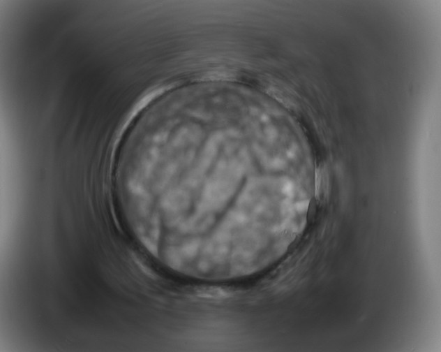 X0000086230195200704261903