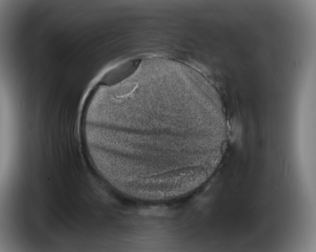 X0000086230196200704261903