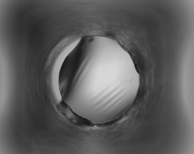 X0000086230197200704261903