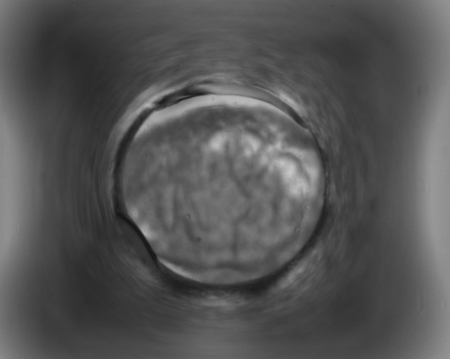 X0000086230199200704261903