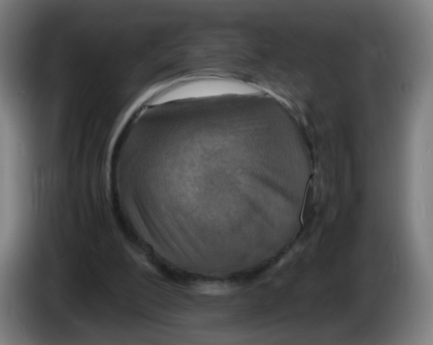 X0000086230200200704261903