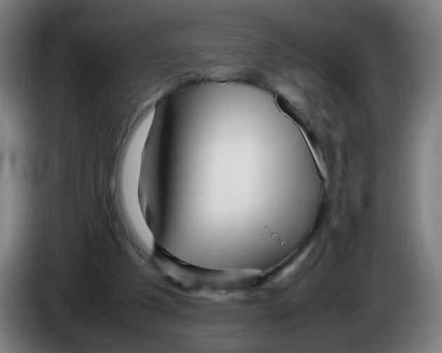 X0000086230201200704261903