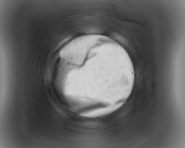 X0000086230202200704261903