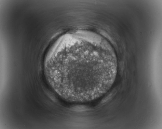 X0000086230203200704261903