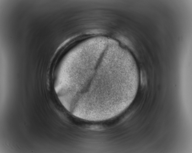 X0000086230204200704261903