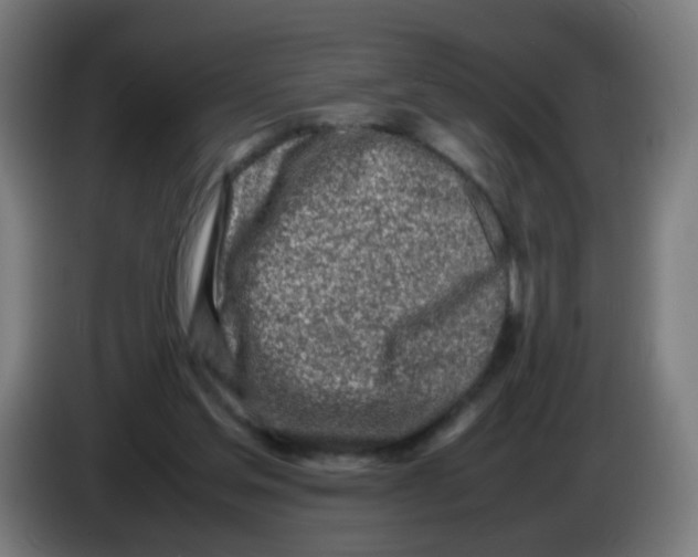 X0000086230205200704261903