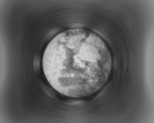 X0000086230206200704261903