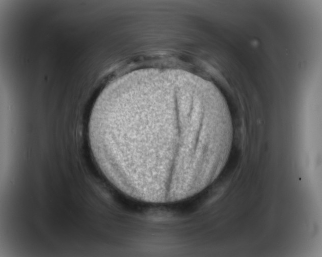 X0000086230207200704261903