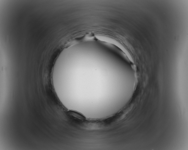 X0000086230209200704261903