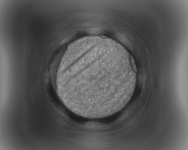 X0000086230211200704261903