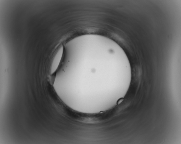 X0000086230212200704261903