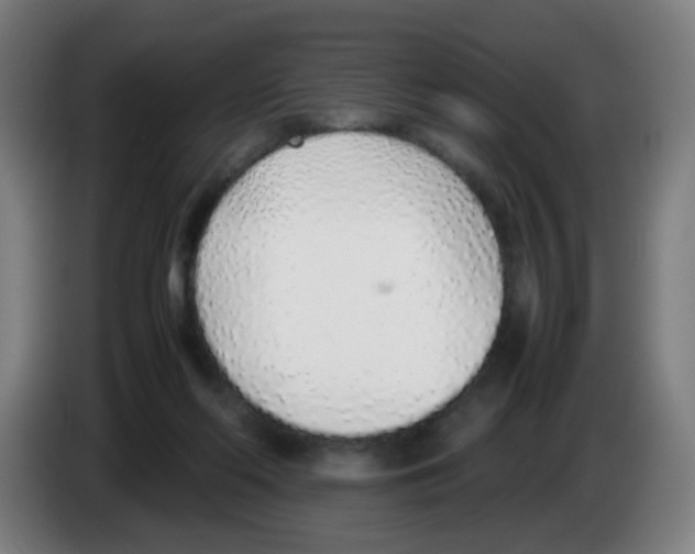 X0000086230214200704261903