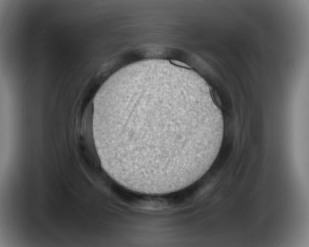 X0000086230215200704261903