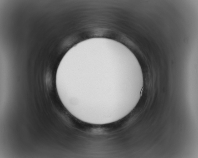 X0000086230216200704261902