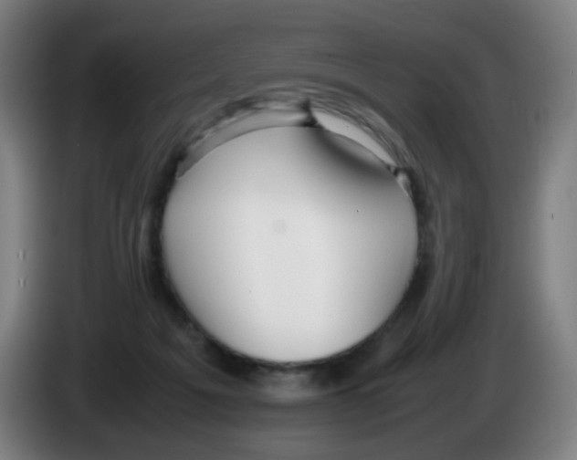 X0000086230217200704261902