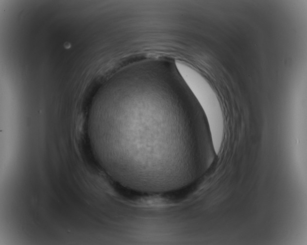 X0000086230219200704261902