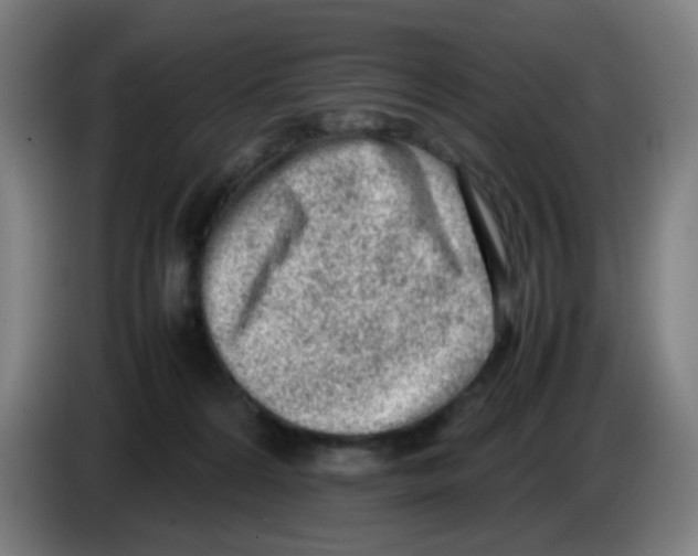 X0000086230224200704261902