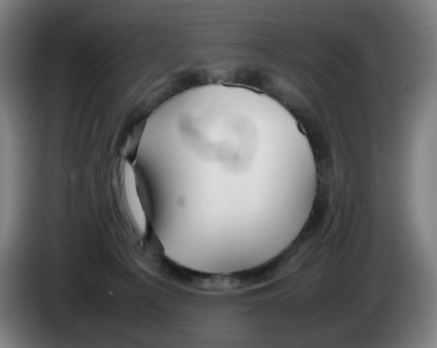 X0000086230225200704261902