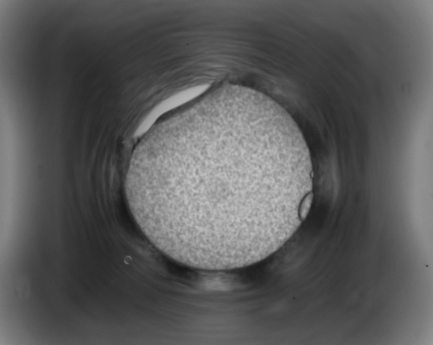 X0000086230226200704261902