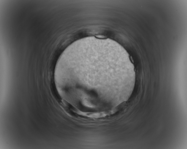 X0000086230227200704261902