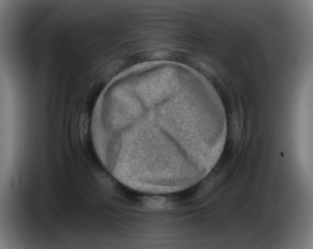 X0000086230230200704261902