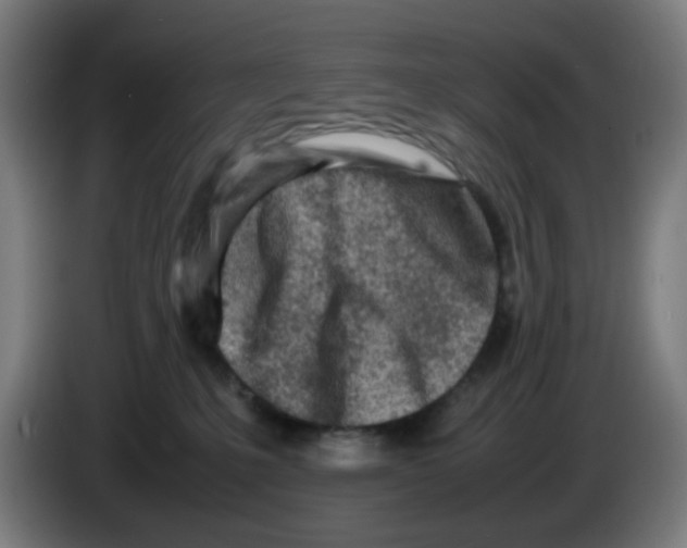 X0000086230231200704261902