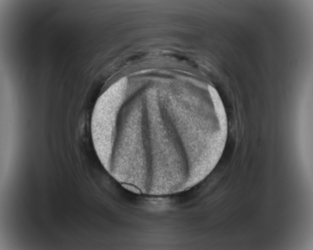 X0000086230233200704261902