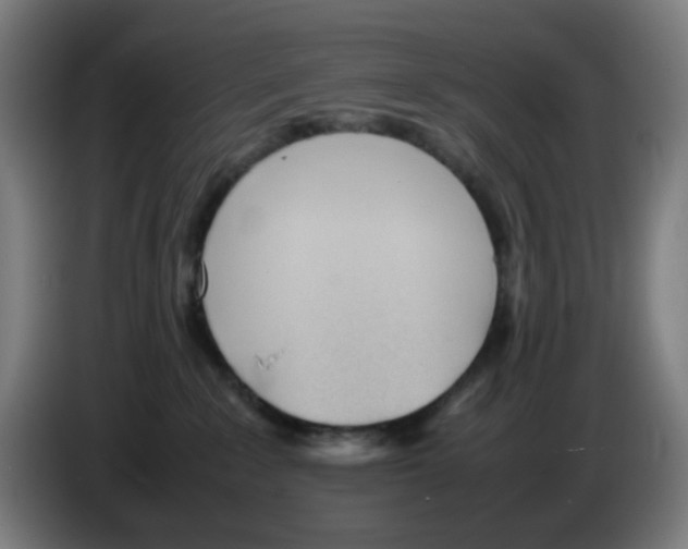 X0000086230235200704261902