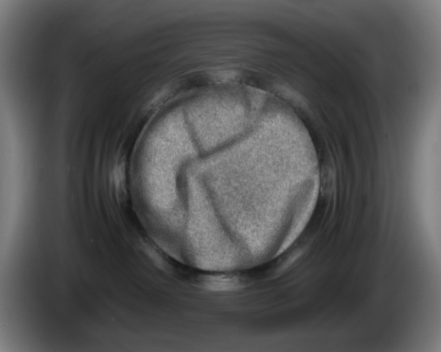 X0000086230238200704261902