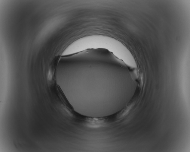 X0000086230239200704261902