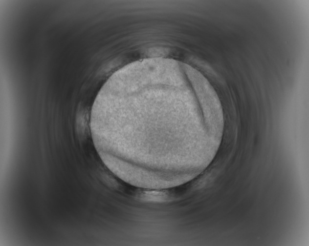 X0000086230240200704261902