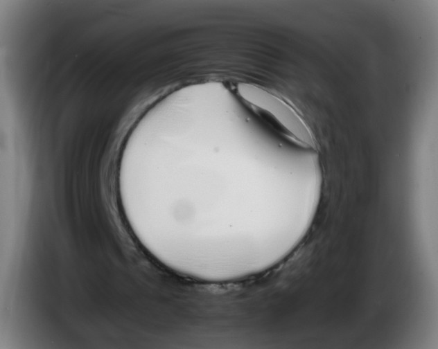 X0000086230241200704261902