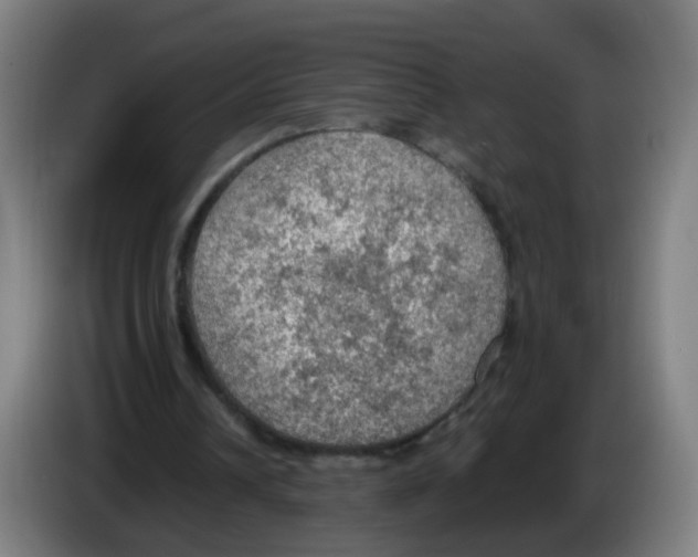 X0000086230242200704261902