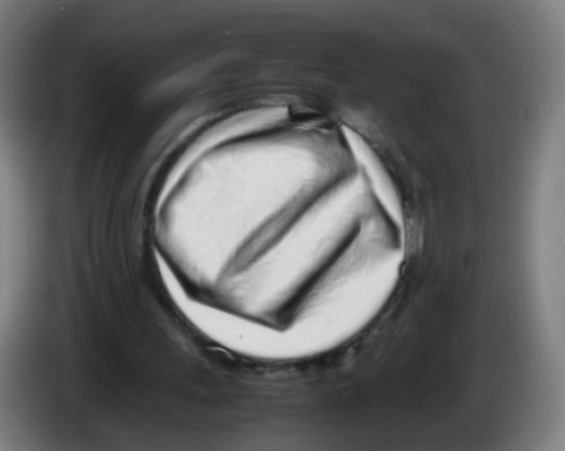 X0000086230243200704261902