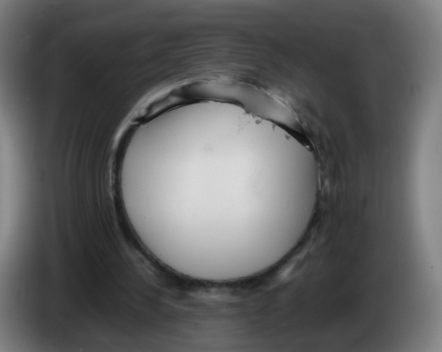 X0000086230244200704261902