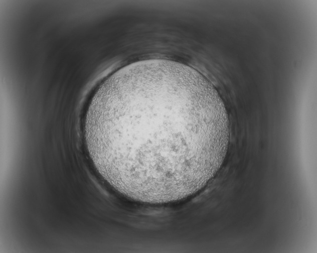 X0000086230245200704261902