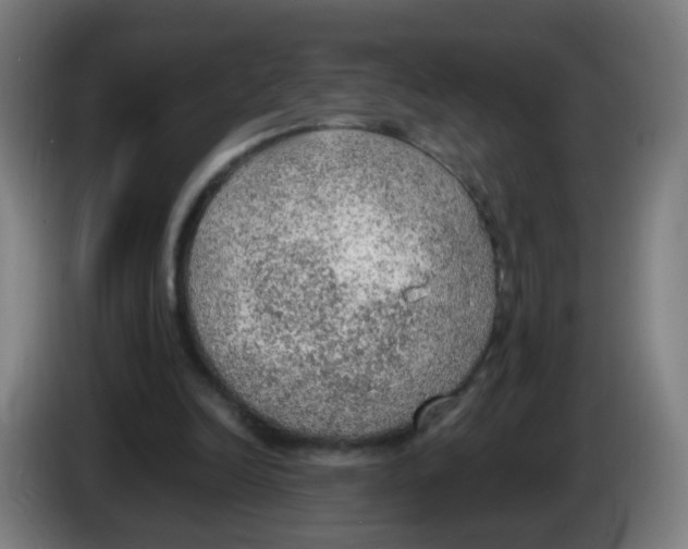 X0000086230246200704261902