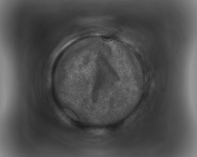 X0000086230247200704261902