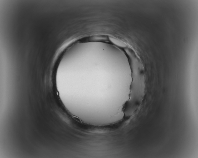 X0000086230248200704261902