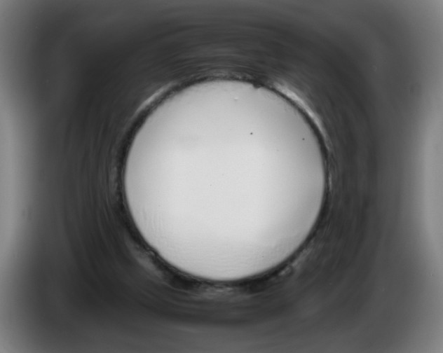 X0000086230249200704261902