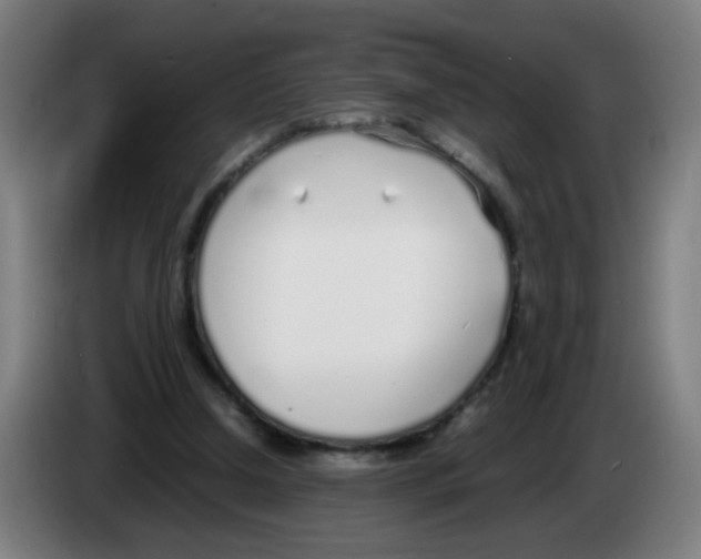 X0000086230250200704261902