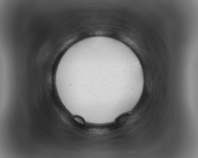 X0000086230251200704261902