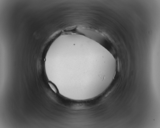 X0000086230252200704261902